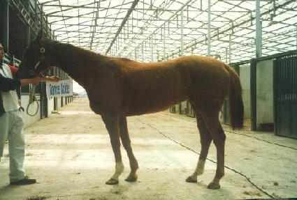 ���û��̵� ����