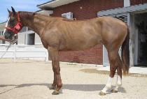 ����õ�� (YUHUI CHEONGUN) ����