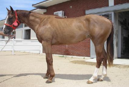 ����õ�� ����