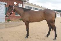 �ΰ�Ư�� (BUGYEONG TEUKGEUP) ����