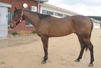 �ΰ�Ư�� ����