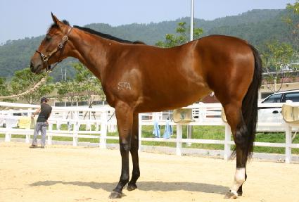 ȯȣ���� ����