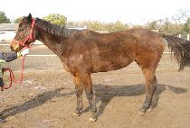 ���ڴ���� (GUNJA DAEROHAENG) ����