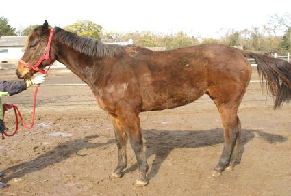 ���ڴ���� ����