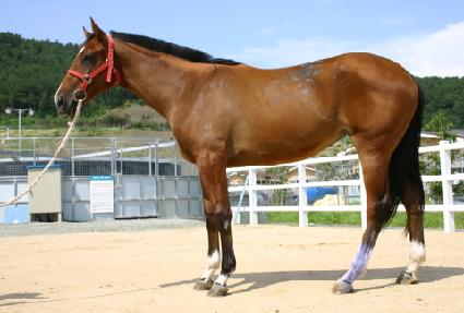 ��ȣ���� ����