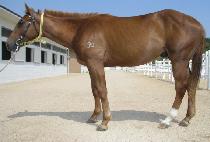 ���ü��� (DONGSI SEOKGWON) ����