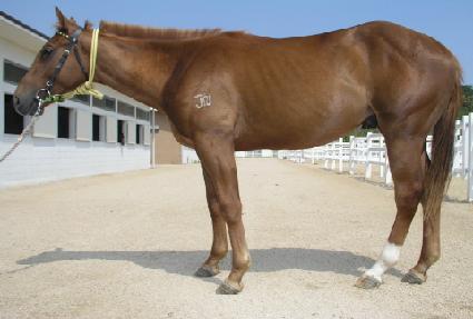 ���ü��� ����