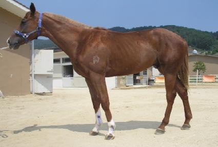 ������ ����