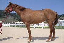 ��ں� (MODAKBUL) ����