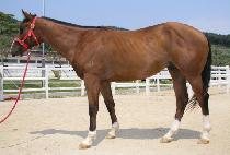 �λ�Ư�� (BUSAN TEUKGEUP) ����