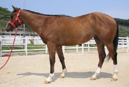 �λ�Ư�� ����