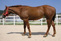 �̼� (MISONG) ����