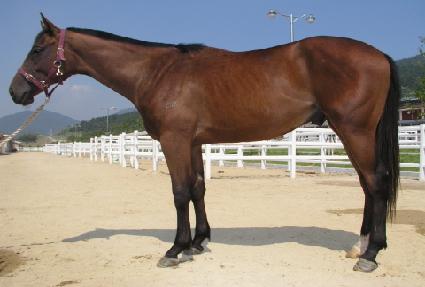 ������ ����