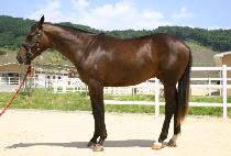 ���ϸ��� (JEIL MEONJEO) ����