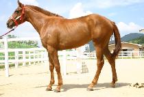 �λ���� (BUSAN GONGJU) ����