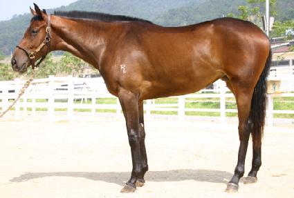 ��Ƽ�ô��� ����