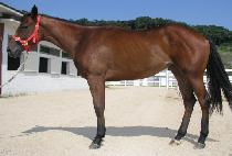 �̿���� (IUT SARANG) ����