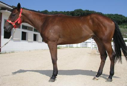 �̿���� ����