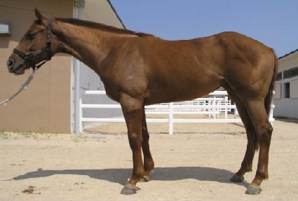 ���ġ ����