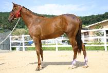 ������� (NAMDO GIBAEK) ����