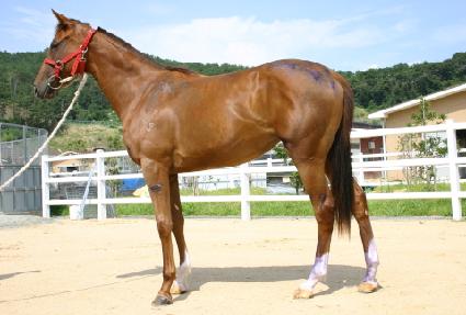 ������� ����