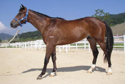 ���Ķ���̽� ����