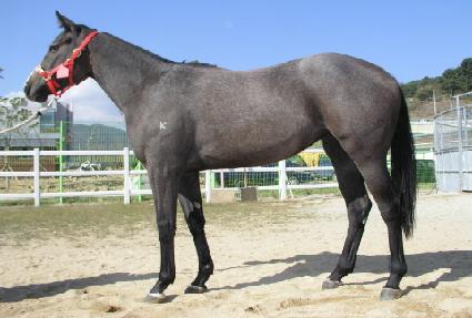 �絵�н� ����