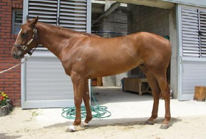 ������ ����