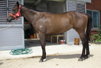 ����ǲ� ����