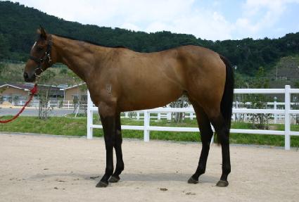 ������� ����