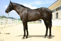 �λ����� (BUSAN JEWANG) ����