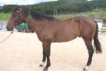 ����ũ (WIN BANK) ����