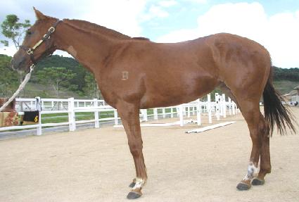 �Ǻ��� ����