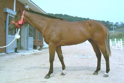 ��������� ����