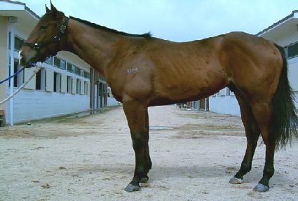 û� ����