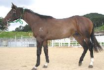 �Ҹ� (BULMYEOL) ����