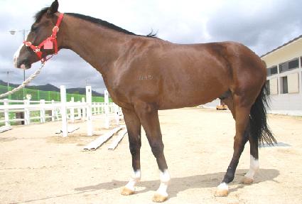 �ܵ��屺 ����