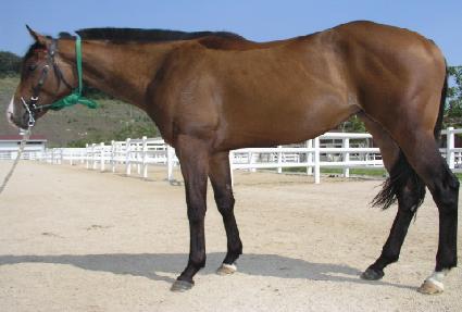 �ٽ��� ����