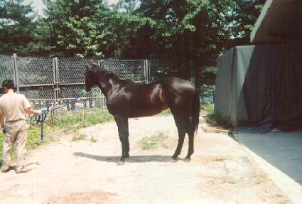 ��Ű�ô��� ����