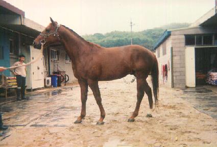 ��Ͷ� ����