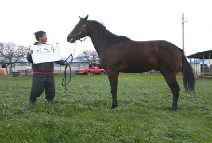 ������ ����