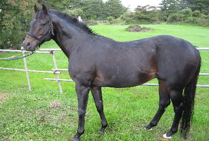 ������ȭ ����