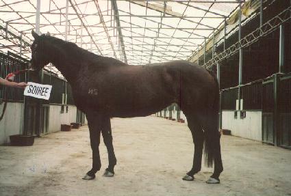 ���ͷ��� ����