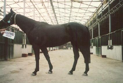 ����Ʈ�׸��� ����