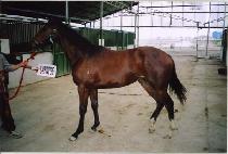 ��Ű�� (LUCKY ZONE) ����