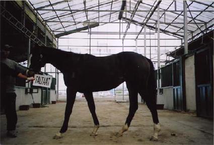 �޸𸮾� ����