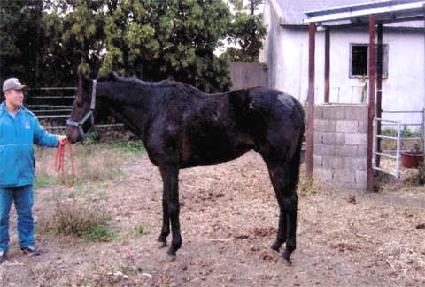 �ޱ۽��� ����