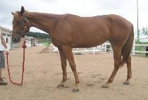 ������Ȱ (GIJEOK BUHWAL) ����