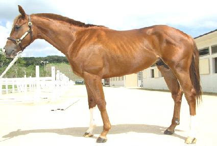 �׷� ����