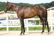 ������Ĺ (DELAVERNE CAT) ����